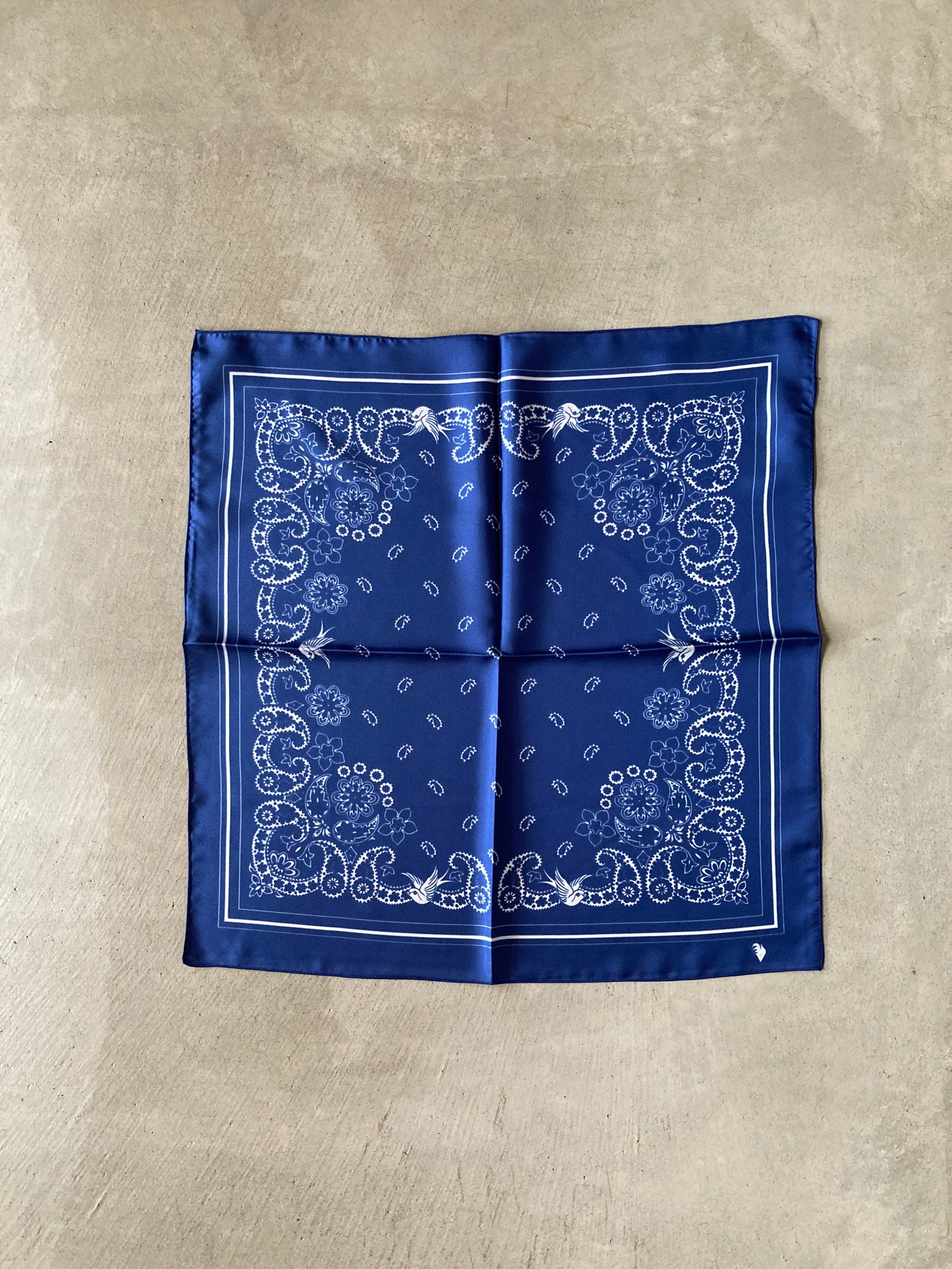 IMG_0907_1600x.jpg?v=1738825908