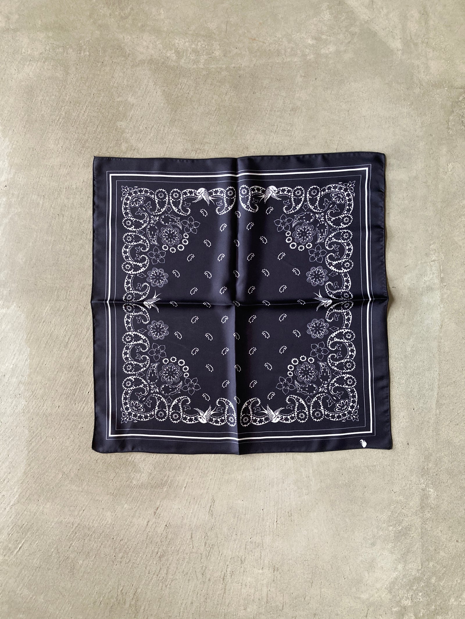 IMG_0908_1600x.jpg?v=1738825908